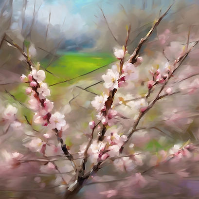 spring .jpg